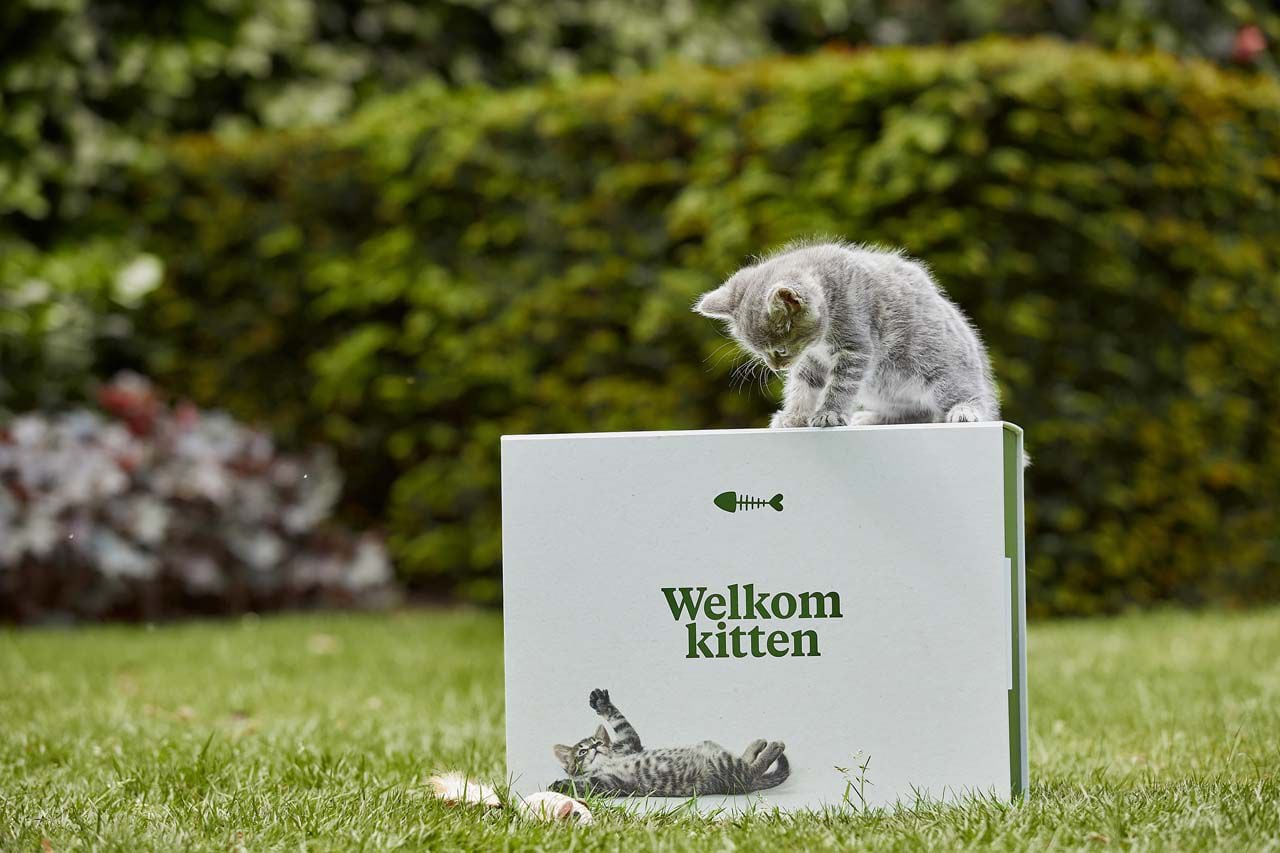 Gratis kittenpakket - Welkoop